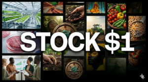 Gonen Corp Stock Ventures: $1 Offering